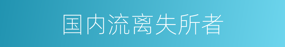 国内流离失所者的同义词