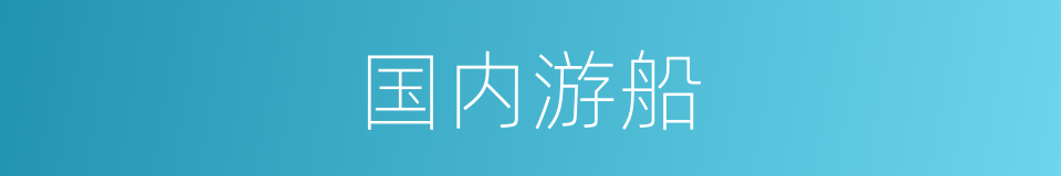 国内游船的同义词