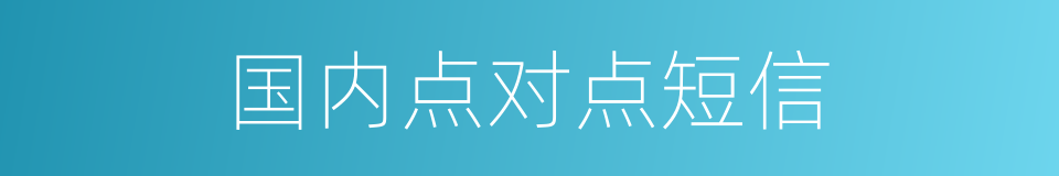 国内点对点短信的同义词