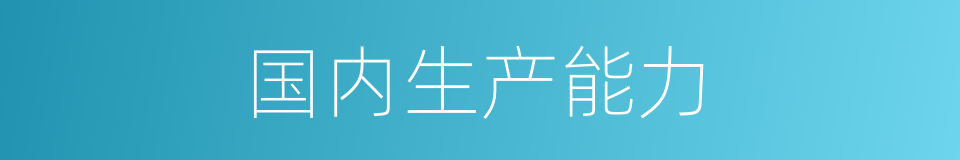 国内生产能力的同义词