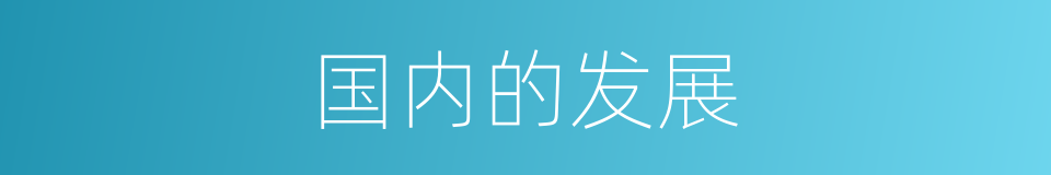 国内的发展的同义词