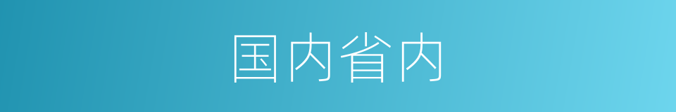 国内省内的同义词