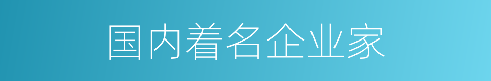 国内着名企业家的同义词