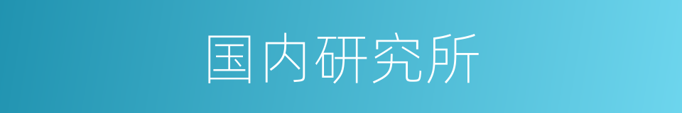 国内研究所的同义词