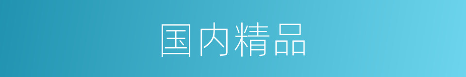 国内精品的同义词