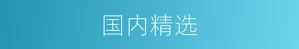 国内精选的同义词