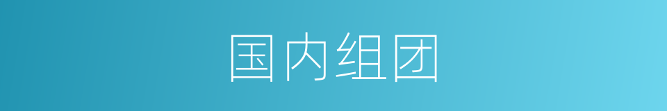 国内组团的同义词