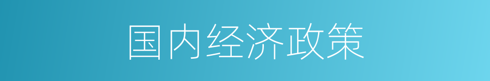 国内经济政策的同义词
