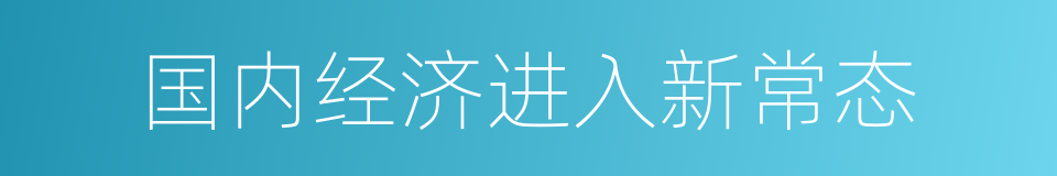 国内经济进入新常态的同义词