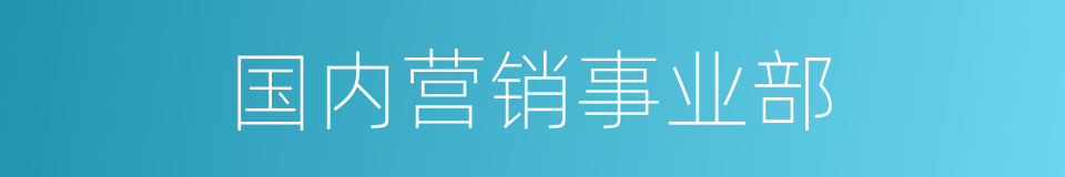 国内营销事业部的同义词