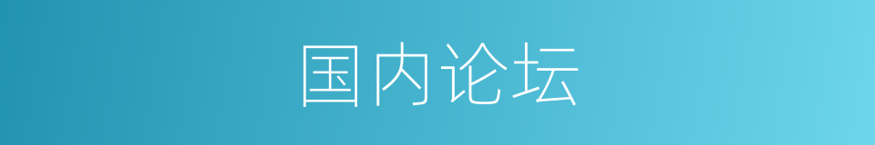 国内论坛的同义词