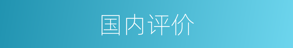 国内评价的同义词
