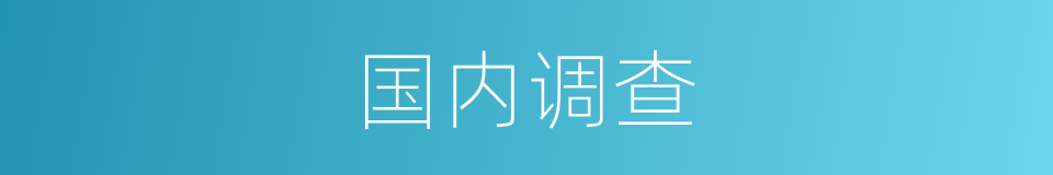 国内调查的同义词