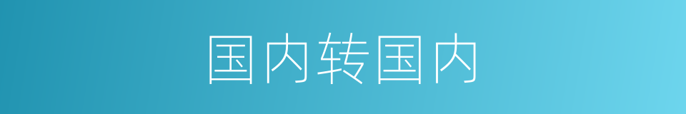 国内转国内的同义词