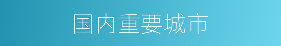 国内重要城市的同义词