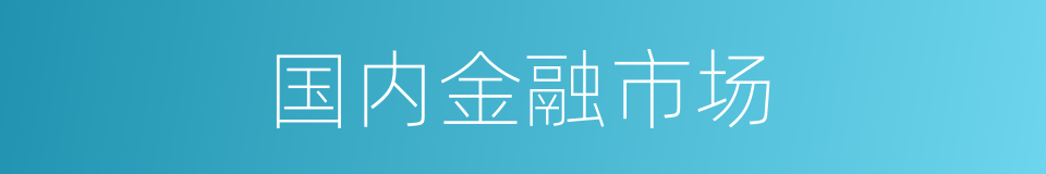 国内金融市场的同义词
