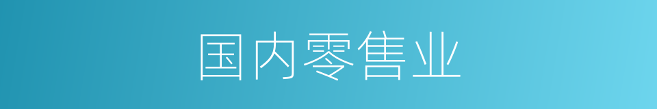 国内零售业的同义词