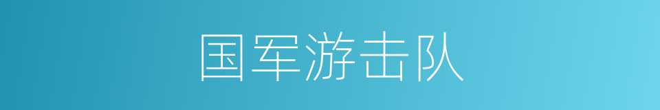 国军游击队的同义词