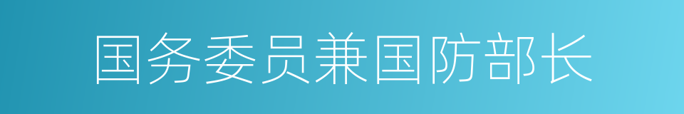 国务委员兼国防部长的同义词