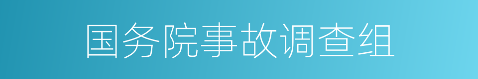 国务院事故调查组的同义词