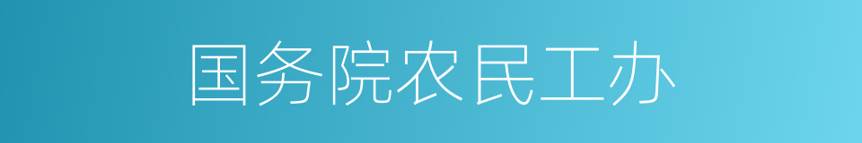 国务院农民工办的同义词