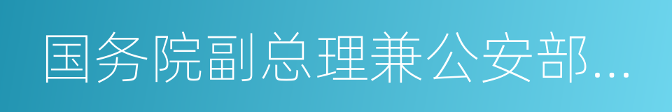 国务院副总理兼公安部部长的同义词