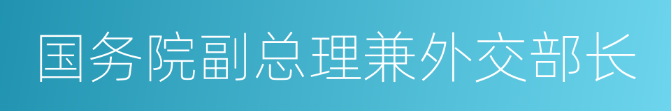 国务院副总理兼外交部长的同义词