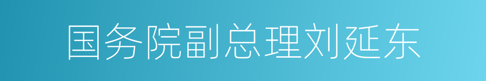 国务院副总理刘延东的同义词