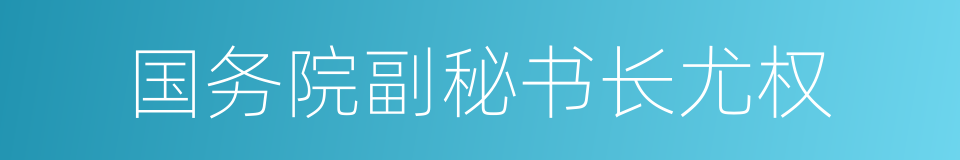 国务院副秘书长尤权的同义词