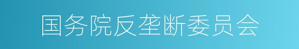 国务院反垄断委员会的同义词