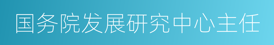 国务院发展研究中心主任的同义词