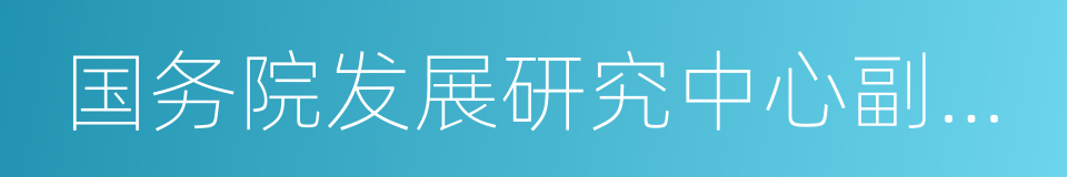 国务院发展研究中心副主任的同义词