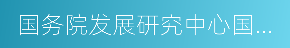 国务院发展研究中心国际技术经济研究所的同义词