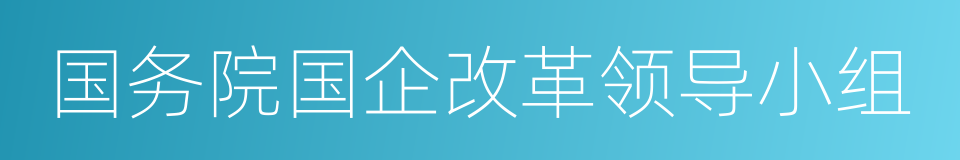 国务院国企改革领导小组的同义词