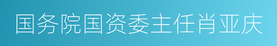 国务院国资委主任肖亚庆的同义词