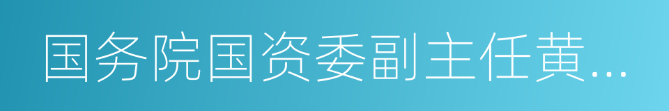 国务院国资委副主任黄丹华的同义词