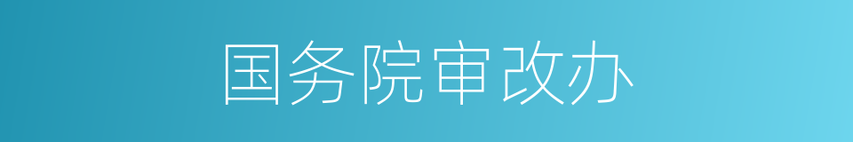 国务院审改办的同义词