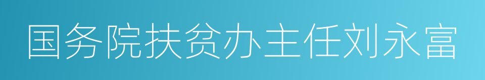 国务院扶贫办主任刘永富的同义词