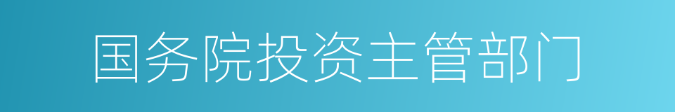 国务院投资主管部门的同义词