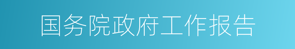 国务院政府工作报告的同义词