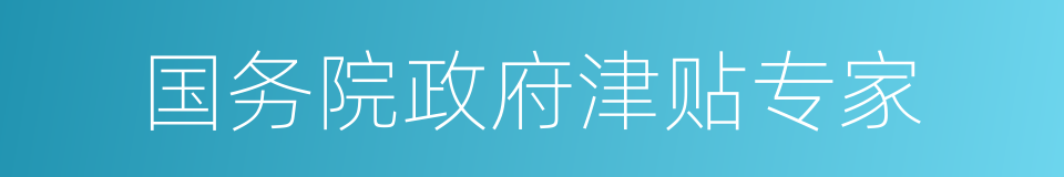 国务院政府津贴专家的同义词