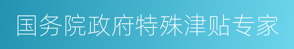 国务院政府特殊津贴专家的同义词