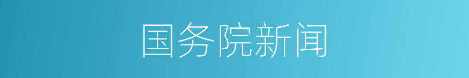 国务院新闻的同义词