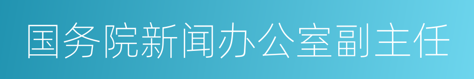 国务院新闻办公室副主任的同义词