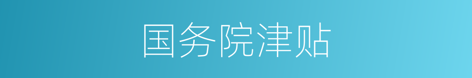 国务院津贴的同义词
