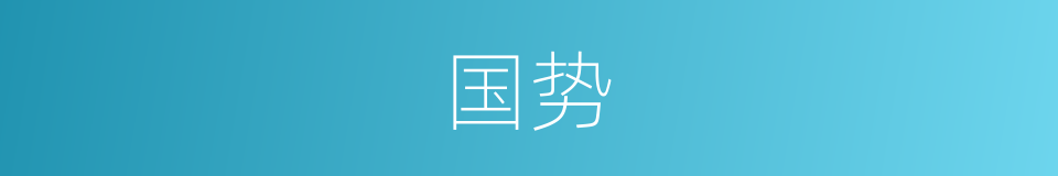国势的意思