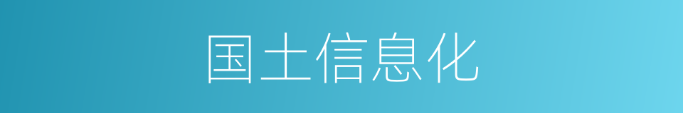 国土信息化的同义词