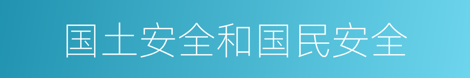 国土安全和国民安全的同义词