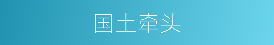 国土牵头的同义词
