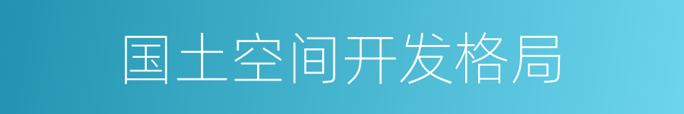 国土空间开发格局的同义词